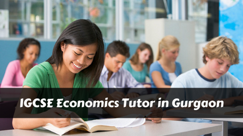 IGCSE Economics Tutor